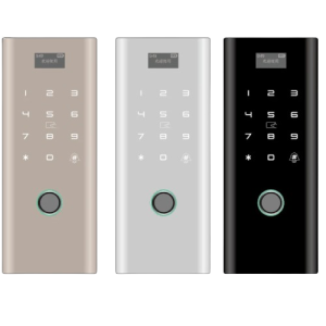 Serrure-biom-trique-intelligente-sans-cl-empreintes-digitales-avec-mot-de-passe-de-carte-IC-pour-removebg-preview
